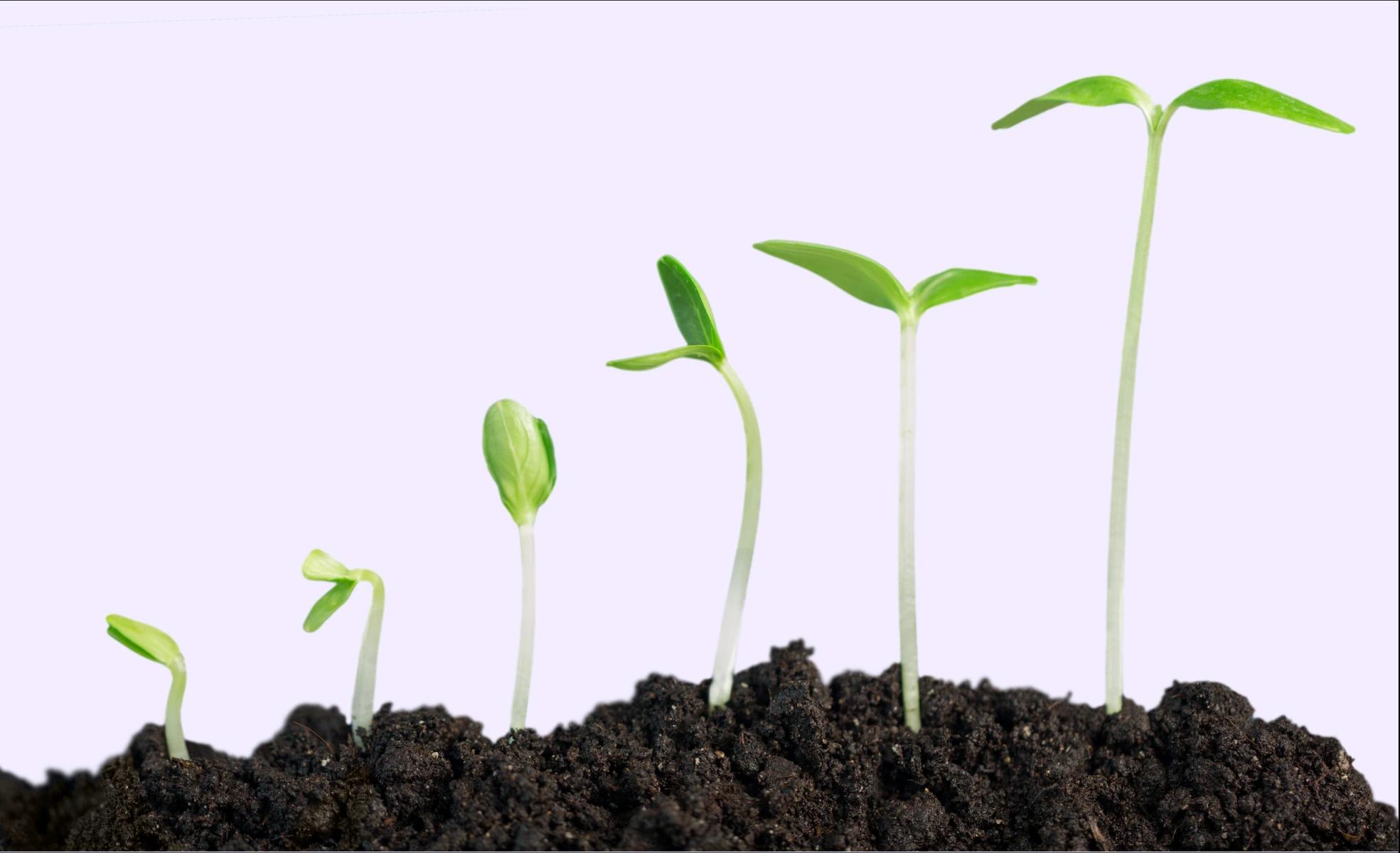 Ajude seus clientes a expandir os seus negócios com confiança