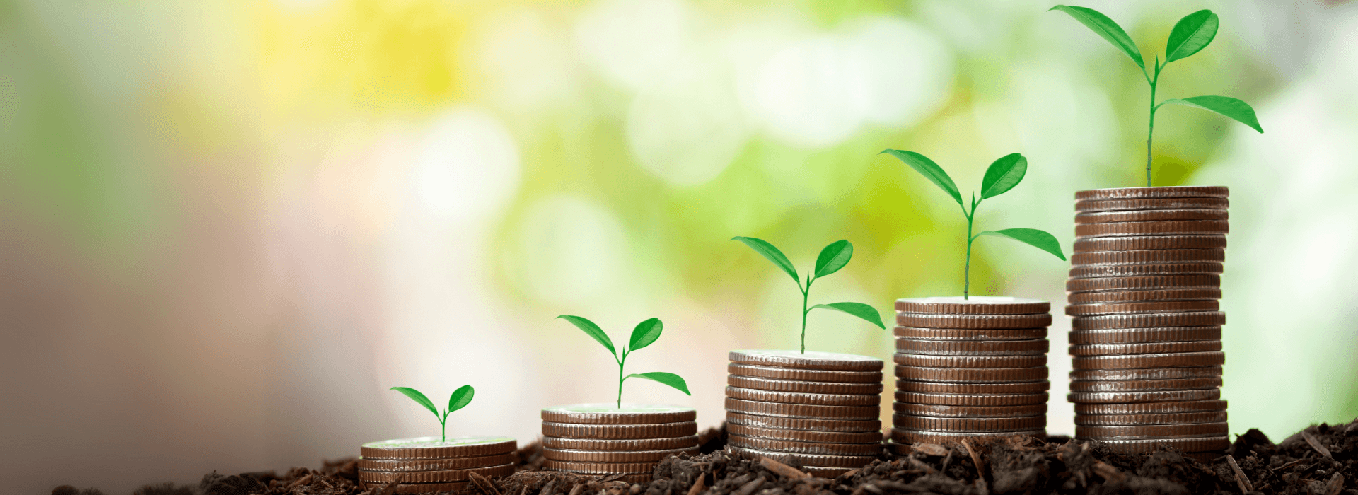 SMB newsletter cash flow